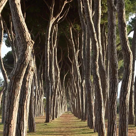 A Casa Di Cinzia בית אירוח פינטו