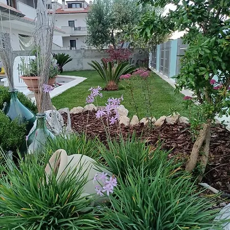 A Casa Di Cinzia ピネート
