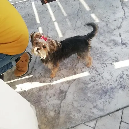 Homestay A Casa Di Cinzia *