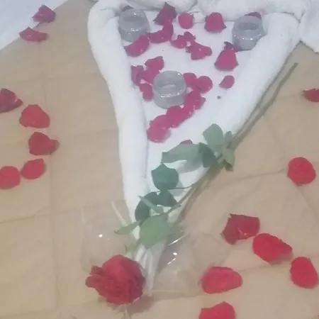 Homestay szállás A Casa Di Cinzia Pineto