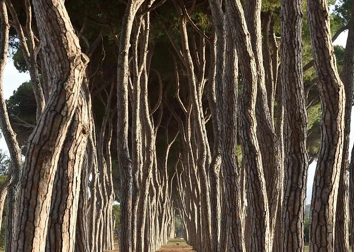 A Casa Di Cinzia Alloggio in famiglia Pineto