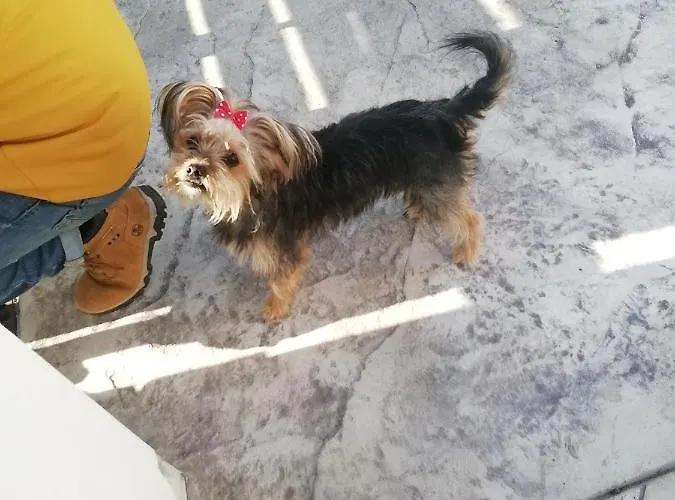 Alloggio in famiglia A Casa Di Cinzia *