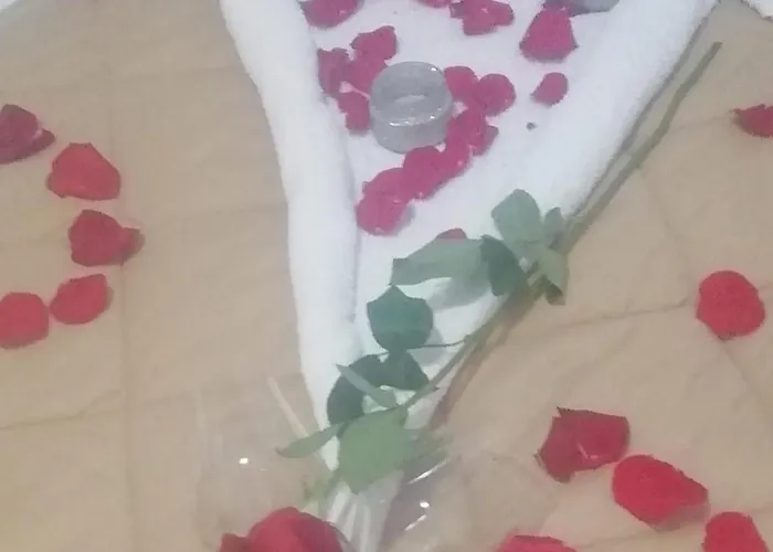 Homestay szállás A Casa Di Cinzia Pineto